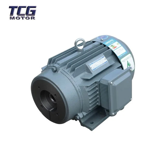 hollow shaft motor