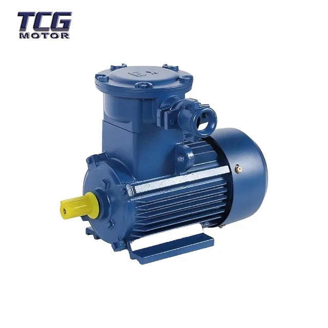 BT4 Explosion proof motor