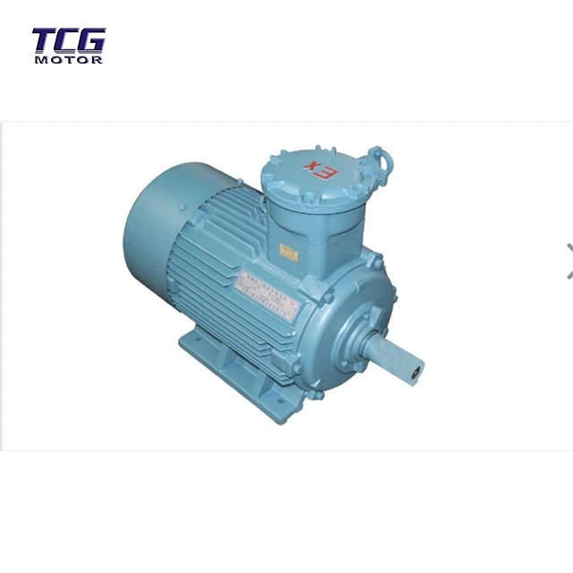 BT4 explosion-proof motor