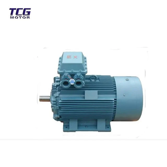 anti-explosion motor