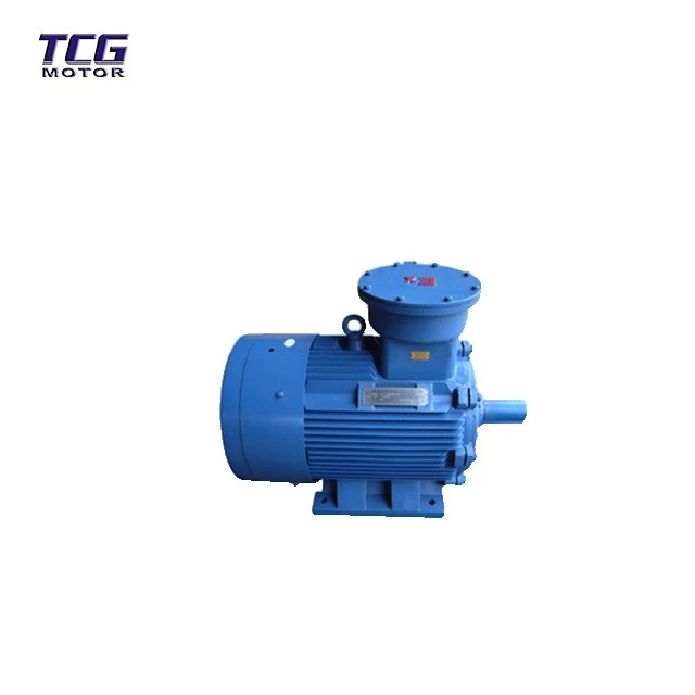 high voltage anti-explosion motor