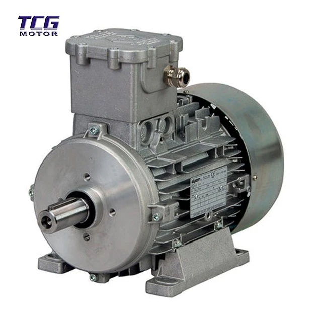explosion-proof motor